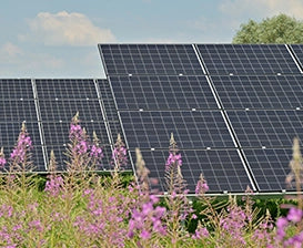 Pasión por la sostenibilidad